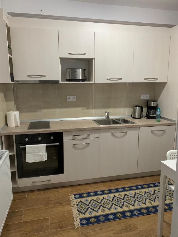 Welcoming Gemini Apartment 1 Sibiu Extérieur photo